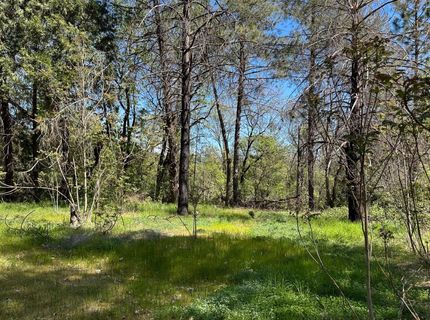 21138 Big Oak Ln, Lakehead, CA 96051 Photo