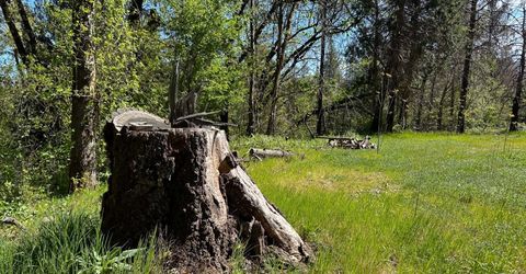 21138 Big Oak Ln, Lakehead, CA 96051 Photo
