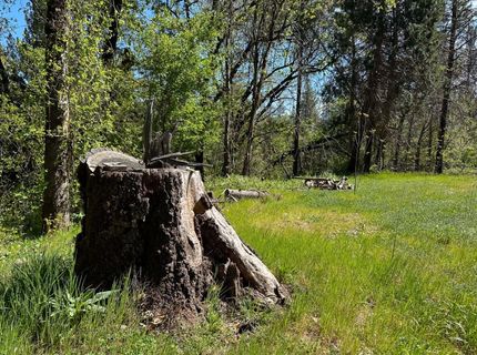 21138 Big Oak Ln, Lakehead, CA 96051 Photo