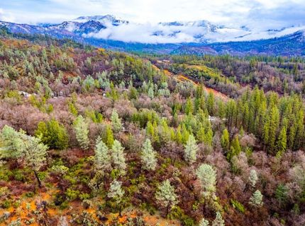 21138 Big Oak Ln, Lakehead, CA 96051 Photo