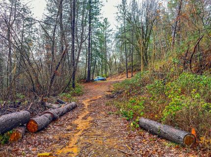 21138 Big Oak Ln, Lakehead, CA 96051 Photo