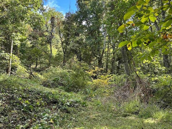 94 Locust Grove Lane, Weaverville, NC 28787