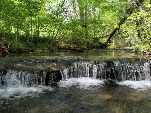 3795 Wayland Springs Rd, Iron City, TN 38463