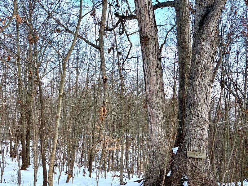 0 Glenwood Avenue, New Boston, OH 45662 Photo 10