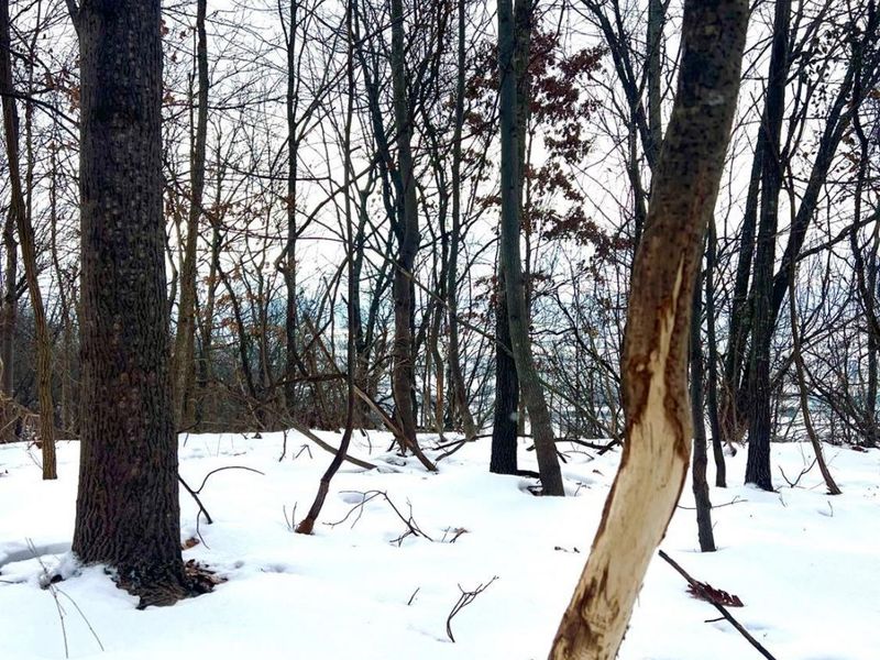 0 Glenwood Avenue, New Boston, OH 45662 Photo 11