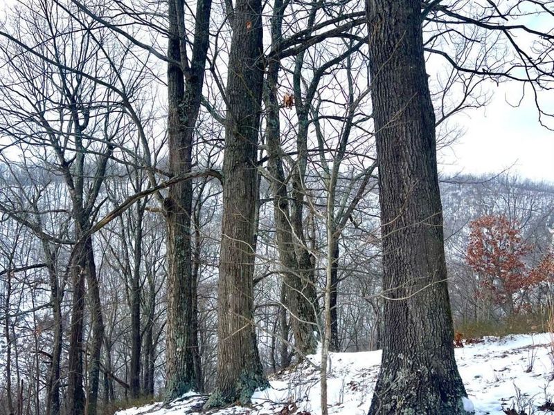 0 Glenwood Avenue, New Boston, OH 45662 Photo 12