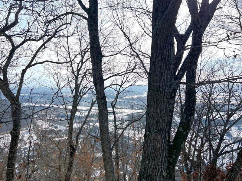 0 Glenwood Avenue, New Boston, OH 45662 Photo 13