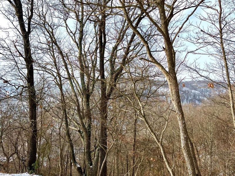 0 Glenwood Avenue, New Boston, OH 45662 Photo 14