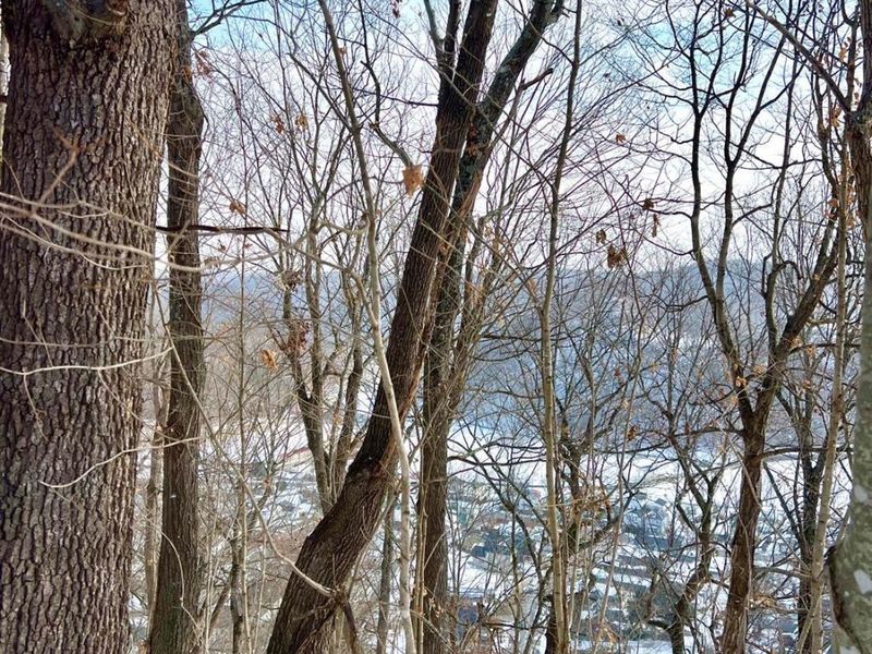 0 Glenwood Avenue, New Boston, OH 45662 Photo 15