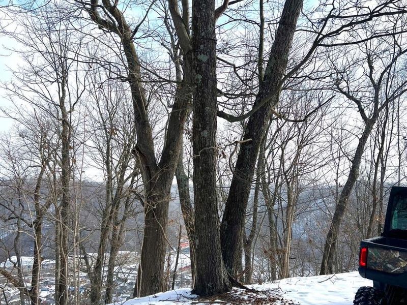 0 Glenwood Avenue, New Boston, OH 45662 Photo 16