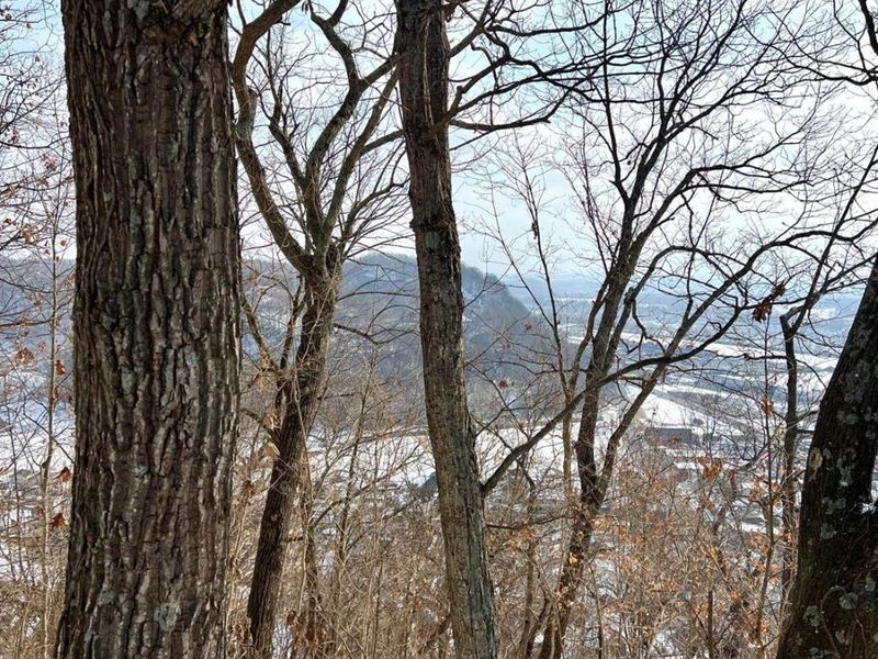 0 Glenwood Avenue, New Boston, OH 45662 Photo 2