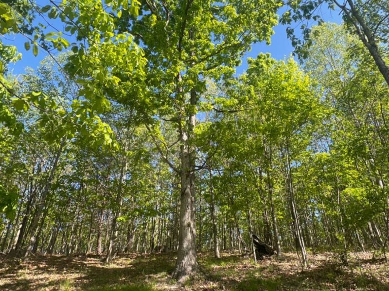 0 Glenwood Avenue, New Boston, OH 45662 Photo 22