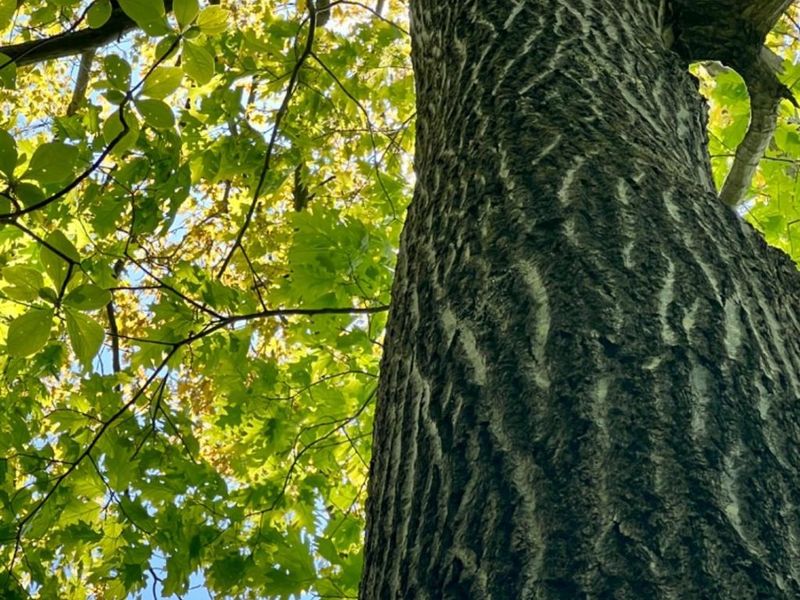 0 Glenwood Avenue, New Boston, OH 45662 Photo 23