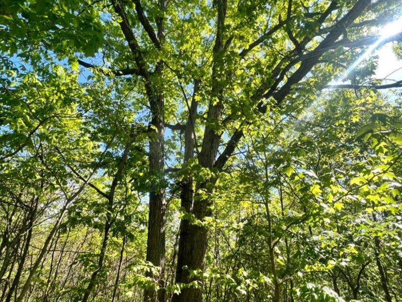 0 Glenwood Avenue, New Boston, OH 45662 Photo 24