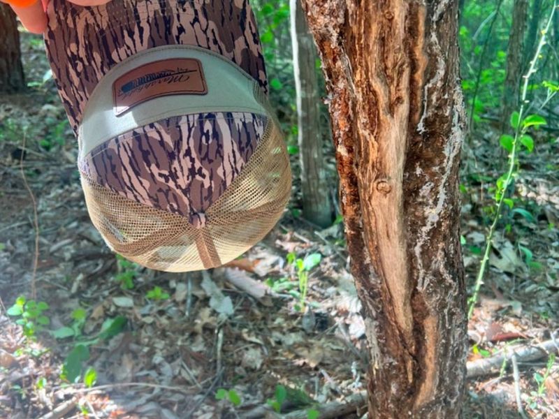 0 Glenwood Avenue, New Boston, OH 45662 Photo 27