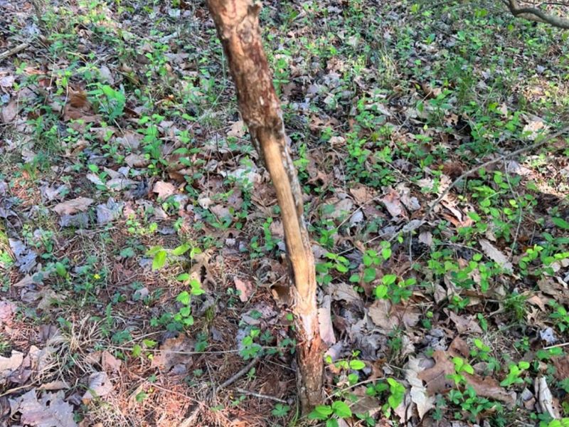 0 Glenwood Avenue, New Boston, OH 45662 Photo 28