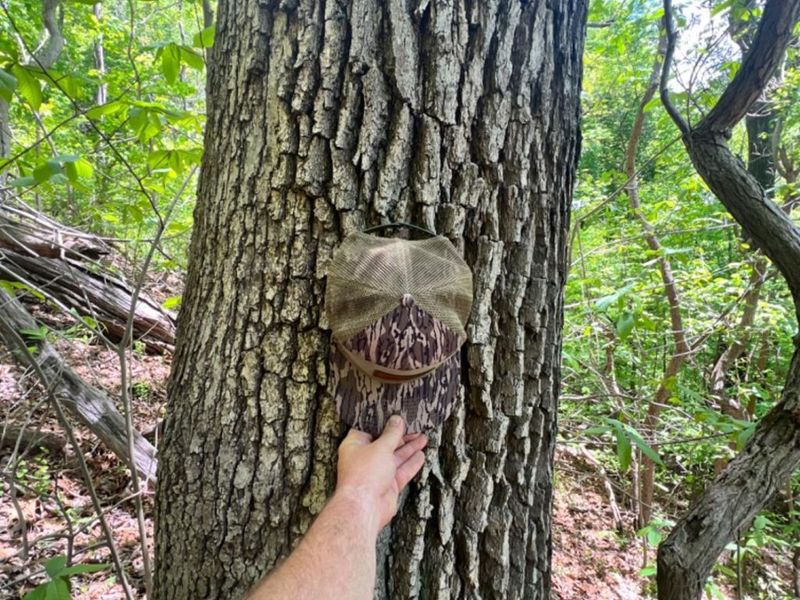 0 Glenwood Avenue, New Boston, OH 45662 Photo 29