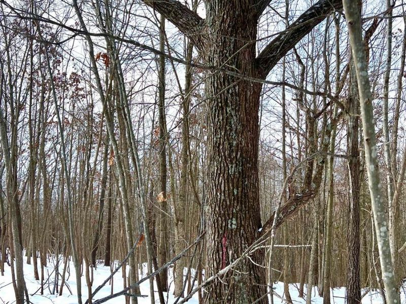 0 Glenwood Avenue, New Boston, OH 45662 Photo 3