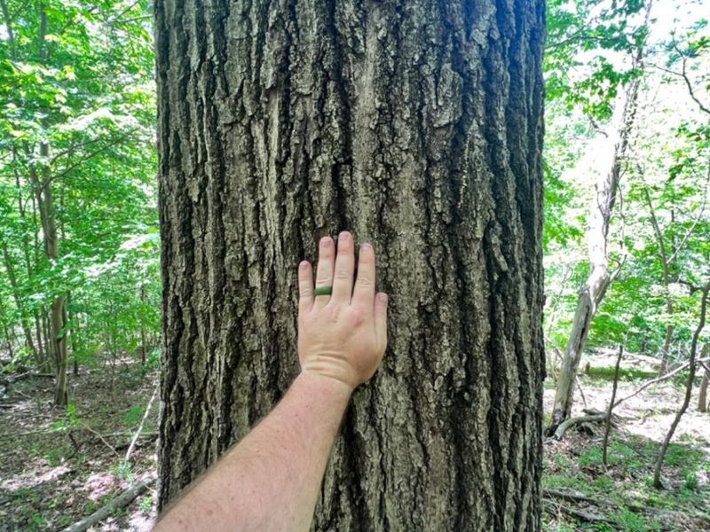 0 Glenwood Avenue, New Boston, OH 45662 Photo 30