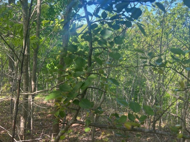 0 Glenwood Avenue, New Boston, OH 45662 Photo 31