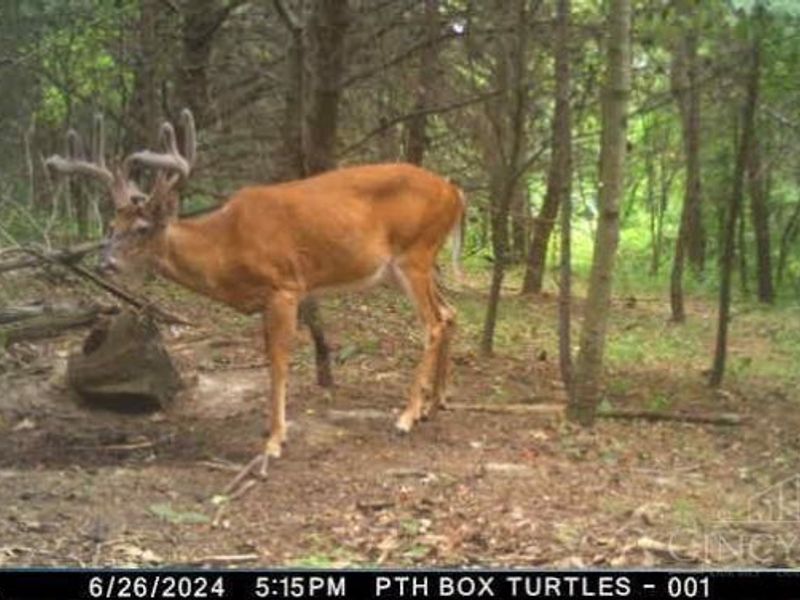 0 Glenwood Avenue, New Boston, OH 45662 Photo 35