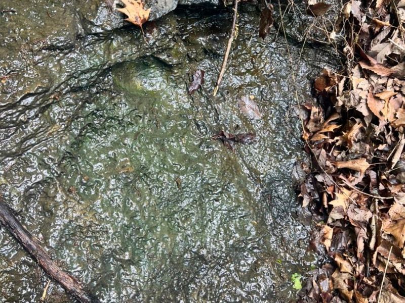 0 Glenwood Avenue, New Boston, OH 45662 Photo 36