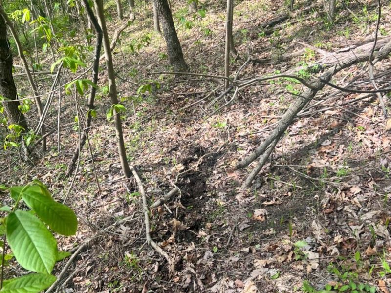 0 Glenwood Avenue, New Boston, OH 45662 Photo 38