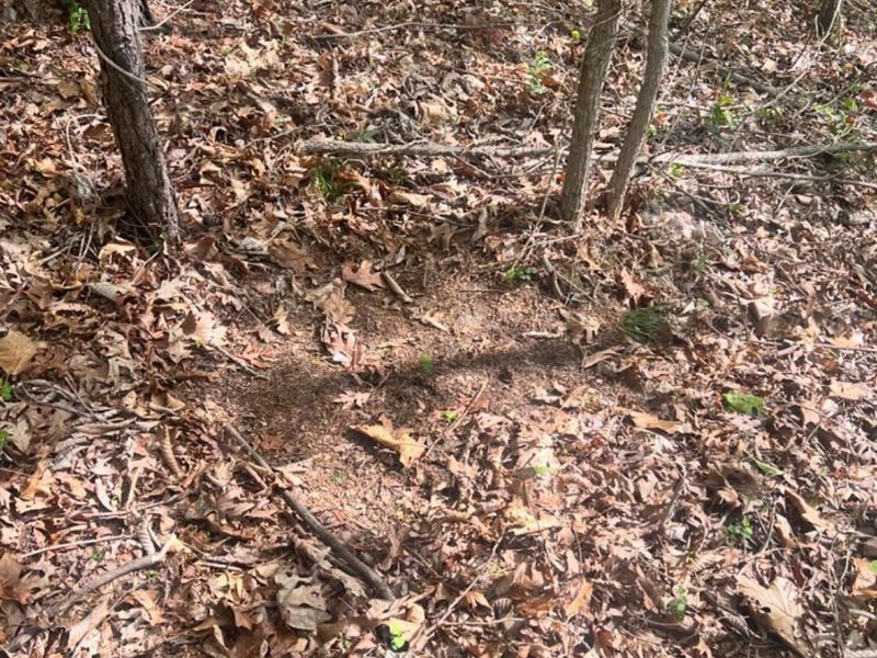 0 Glenwood Avenue, New Boston, OH 45662 Photo 39