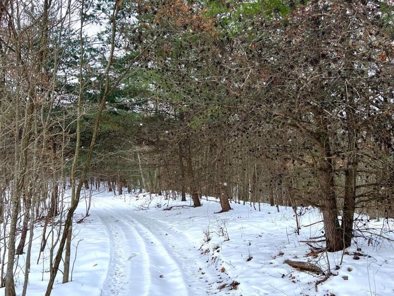 0 Glenwood Avenue, New Boston, OH 45662 Photo 4