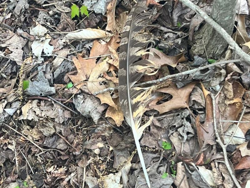 0 Glenwood Avenue, New Boston, OH 45662 Photo 40