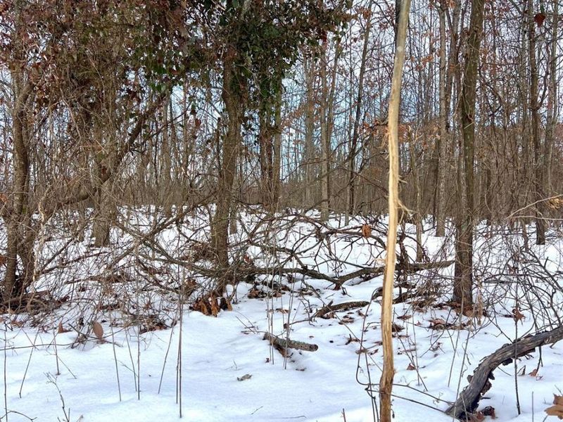 0 Glenwood Avenue, New Boston, OH 45662 Photo 41