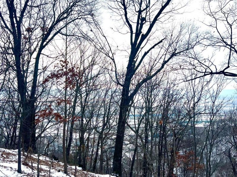 0 Glenwood Avenue, New Boston, OH 45662 Photo 42