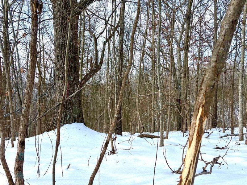 0 Glenwood Avenue, New Boston, OH 45662 Photo 43