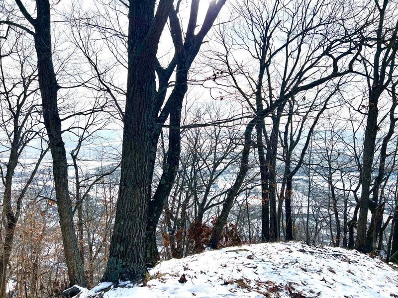 0 Glenwood Avenue, New Boston, OH 45662 Photo 44