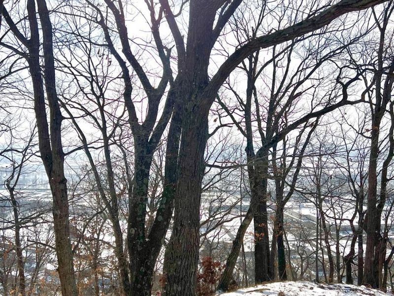 0 Glenwood Avenue, New Boston, OH 45662 Photo 45