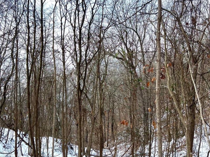 0 Glenwood Avenue, New Boston, OH 45662 Photo 46