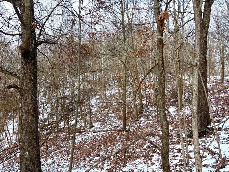 0 Glenwood Avenue, New Boston, OH 45662 Photo 47