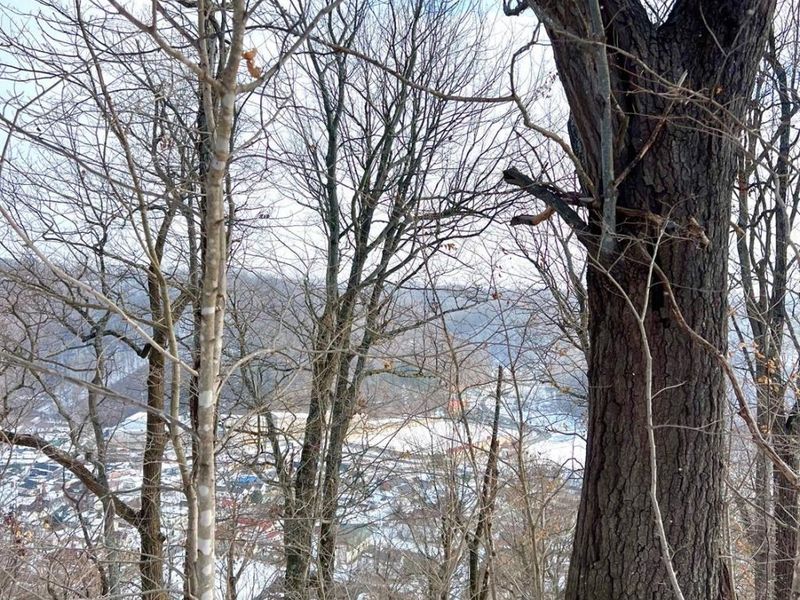 0 Glenwood Avenue, New Boston, OH 45662 Photo 48