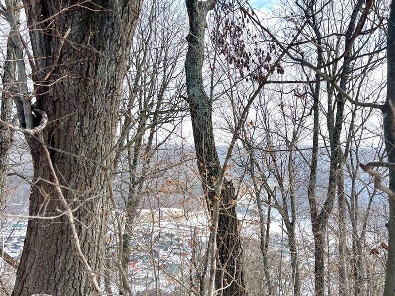 0 Glenwood Avenue, New Boston, OH 45662 Photo 49