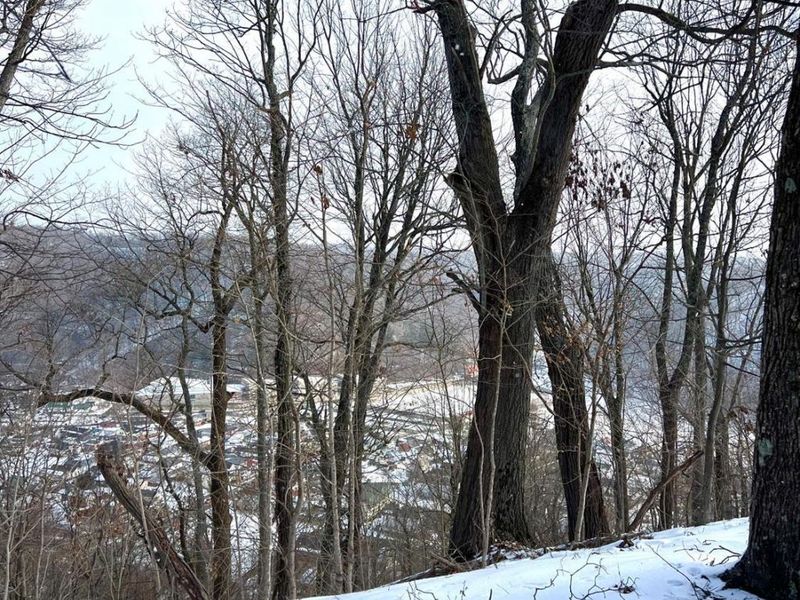 0 Glenwood Avenue, New Boston, OH 45662 Photo 50