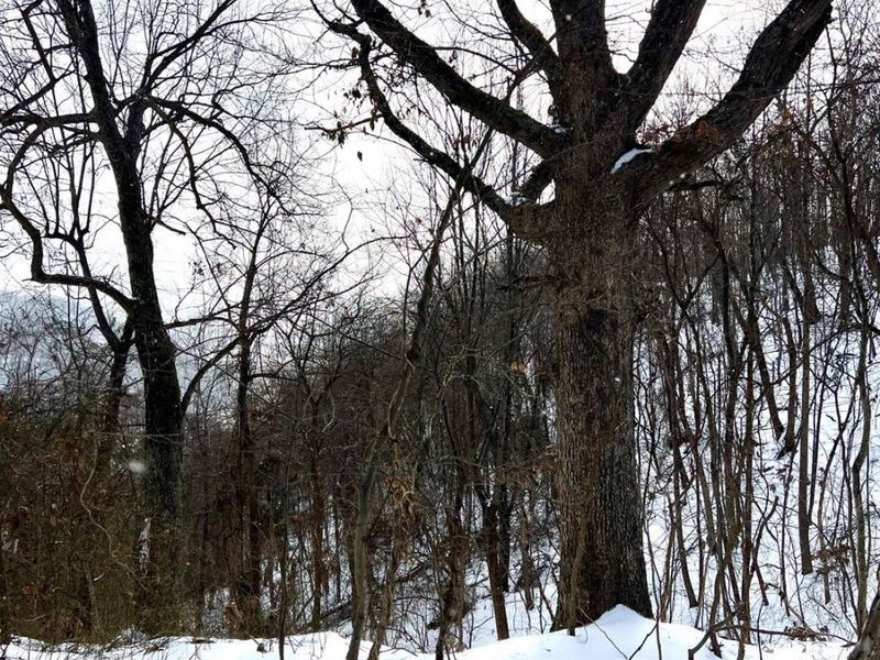 0 Glenwood Avenue, New Boston, OH 45662 Photo 51