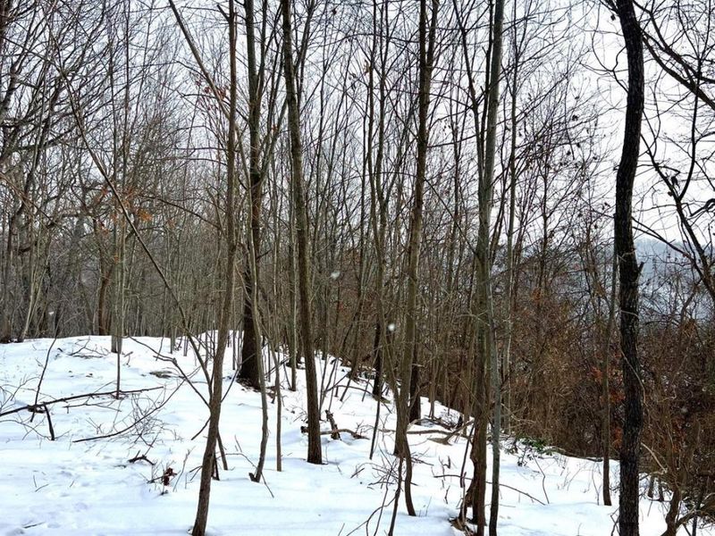 0 Glenwood Avenue, New Boston, OH 45662 Photo 52