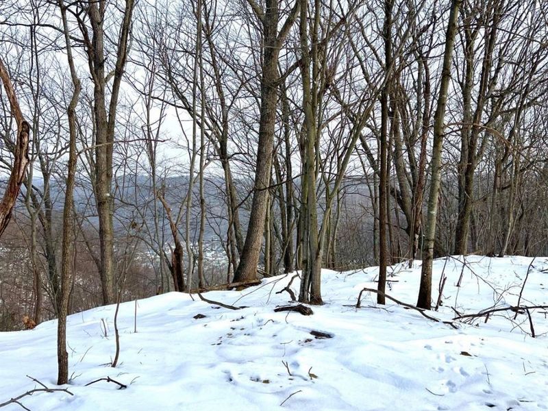 0 Glenwood Avenue, New Boston, OH 45662 Photo 53