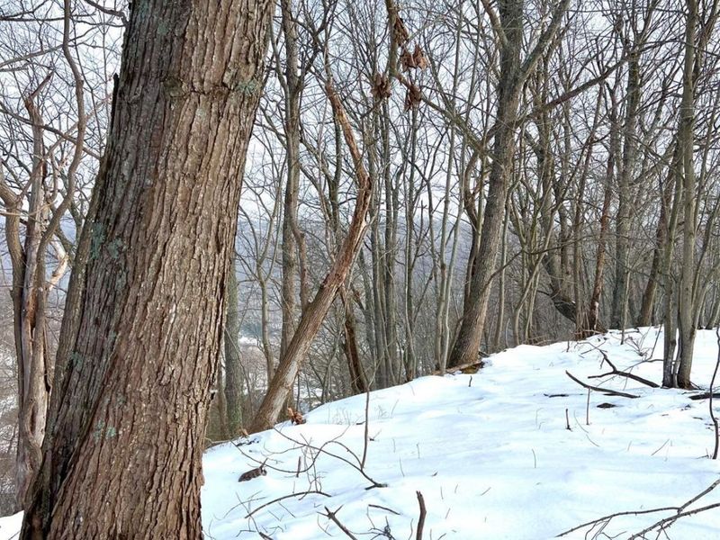 0 Glenwood Avenue, New Boston, OH 45662 Photo 54