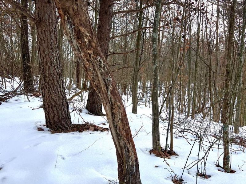 0 Glenwood Avenue, New Boston, OH 45662 Photo 56