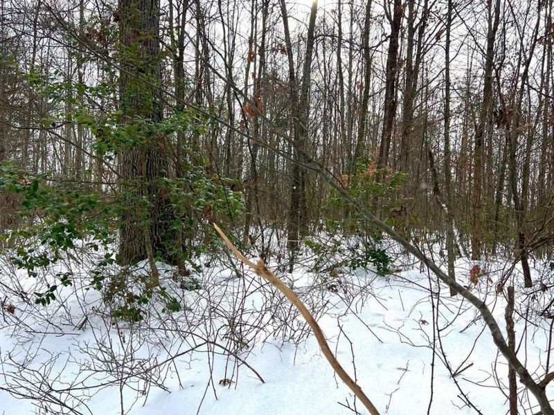 0 Glenwood Avenue, New Boston, OH 45662 Photo 58