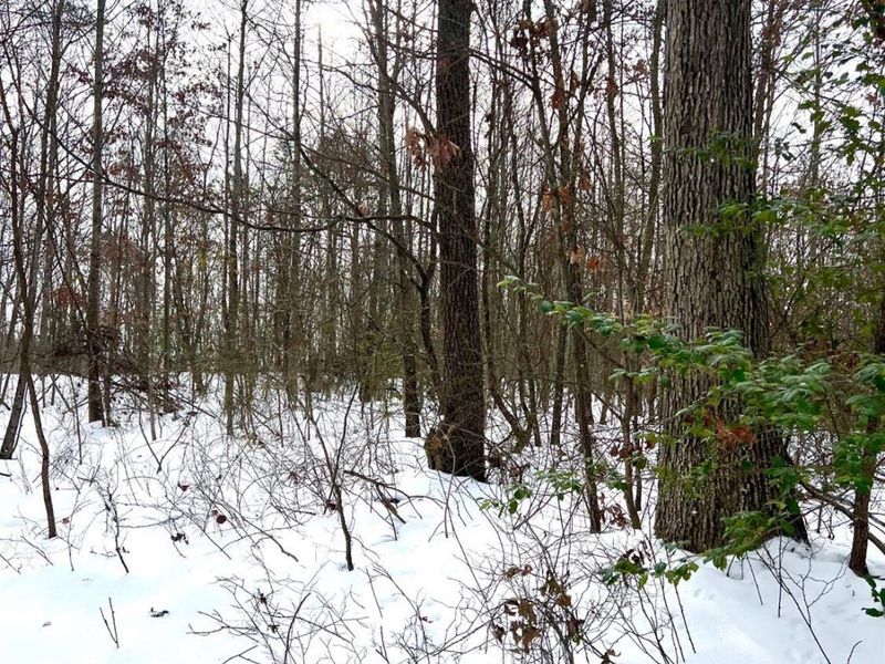 0 Glenwood Avenue, New Boston, OH 45662 Photo 59