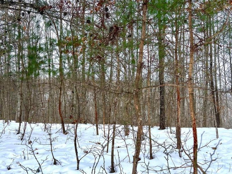 0 Glenwood Avenue, New Boston, OH 45662 Photo 61