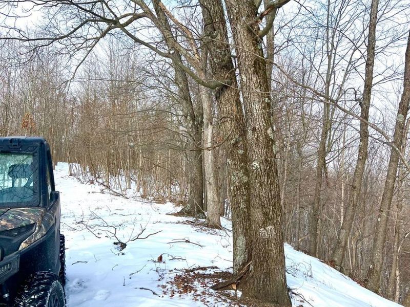 0 Glenwood Avenue, New Boston, OH 45662 Photo 8