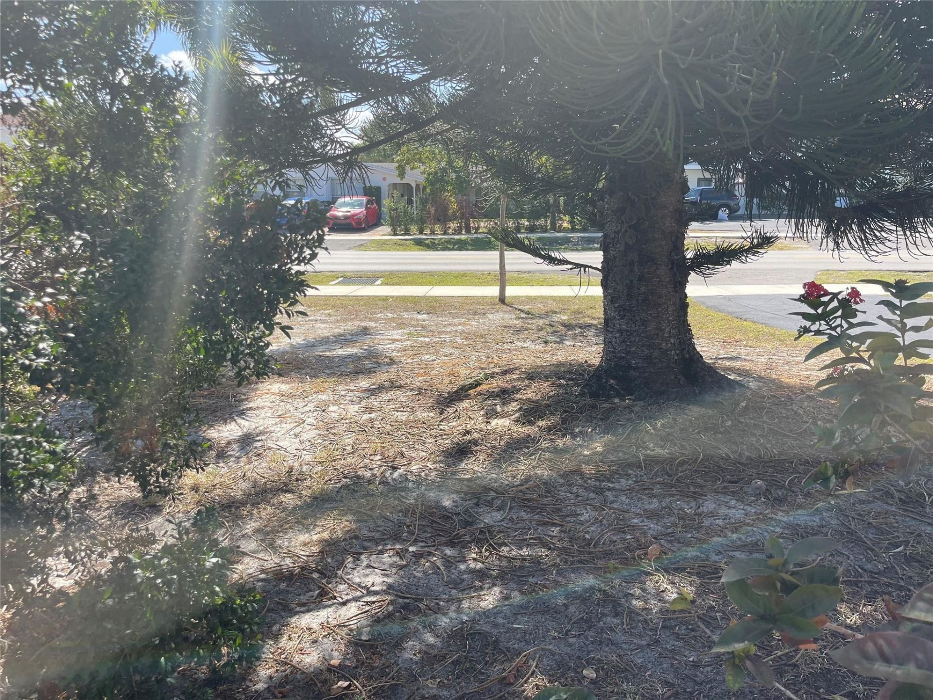 2141 NE 56th Street, Unit 209, Fort Lauderdale, FL 33308 Photo